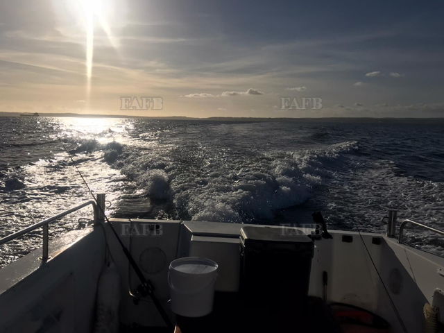 Large picture for advert 143605