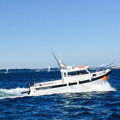 Thumbnail for picture 5