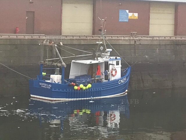 Gaff Wooden Creeler/trawler (SHELLFISH LICENCE STILL AVAILABLE WITH THE BOAT) - picture 1