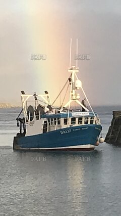 Trawler Scalloper - Karen Mary DA127 - ID:130606