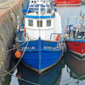 Thumbnail for picture 15