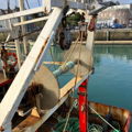 Extra picture for advert 144611