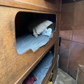 Extra picture for advert 144611