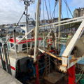 Extra picture for advert 144611