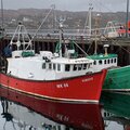 Extra picture for advert 123611