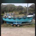 Thumbnail for picture 10