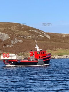 orkney built - Fear Not - ID:130613