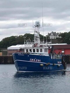 Trawler - Radiance INS 240 - ID:124613