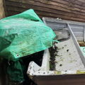 Thumbnail for picture 3