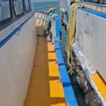 Thumbnail for picture 5