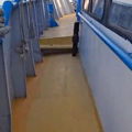 Thumbnail for picture 5