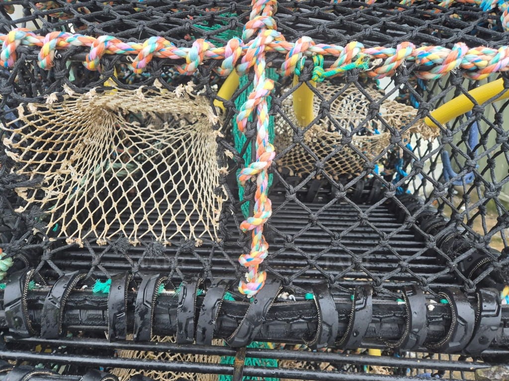 Crab / lobster creels