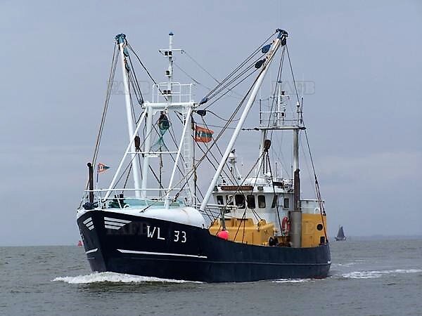 Steel trawler