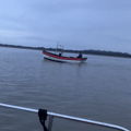 Thumbnail for picture 7