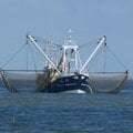 Steel trawler - picture 2