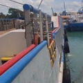 Thumbnail for picture 5