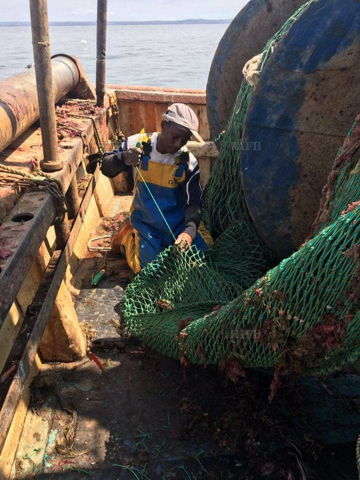 Deckhand