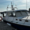 Extra picture for advert 147062
