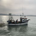 Thumbnail for picture 9
