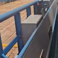 Thumbnail for picture 5