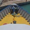 Thumbnail for picture 11