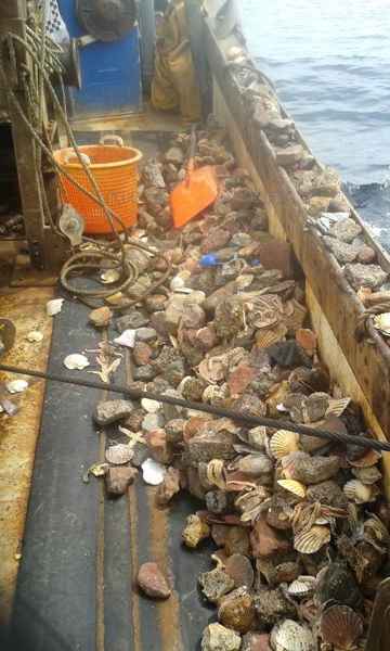 SKIPPER LOOKING FOR  JOB