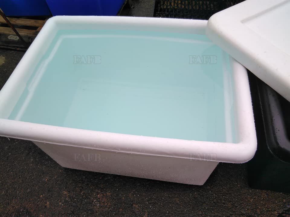 &quot;New Product&quot; Mustang Mini Net bins / Shellfish Tanks.