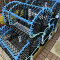 Extra picture for advert 148622