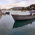 Thumbnail for picture 4