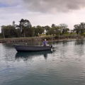Thumbnail for picture 5