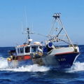Extra picture for advert 148626