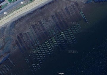 Oyster Farm on Lough Foyle