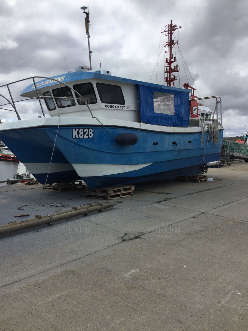 Cougar catamaran
