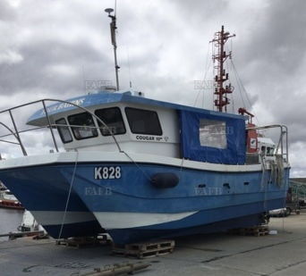 Cougar catamaran