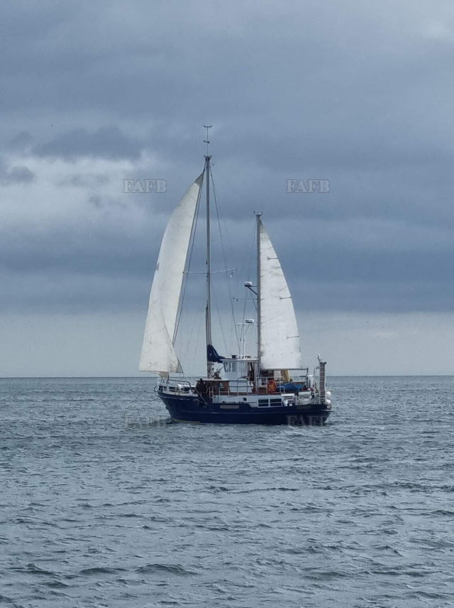 Large picture for advert 136634