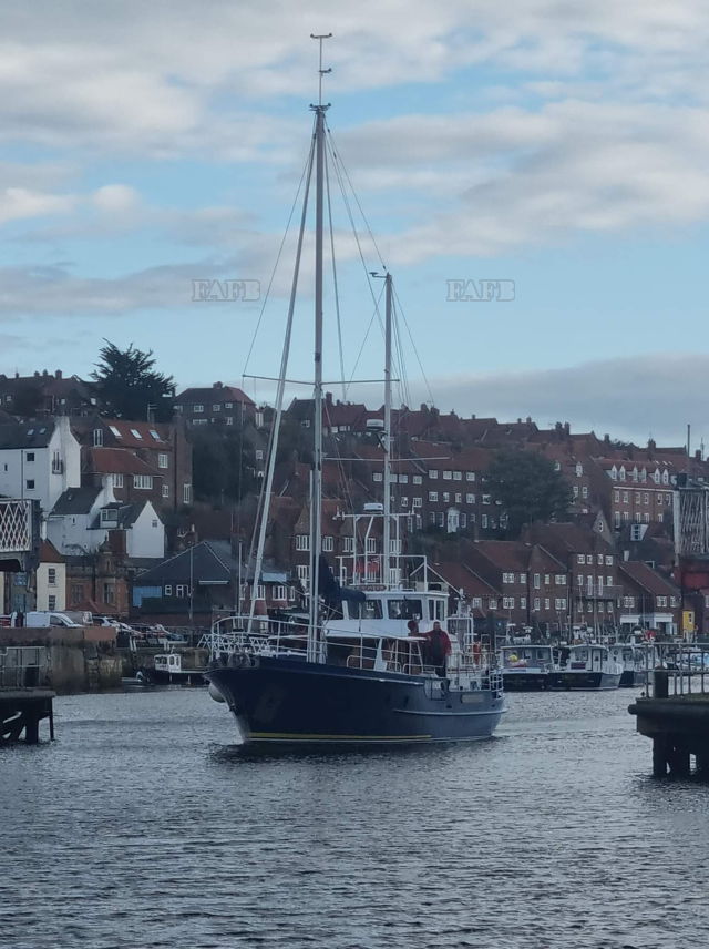 Large picture for advert 136634