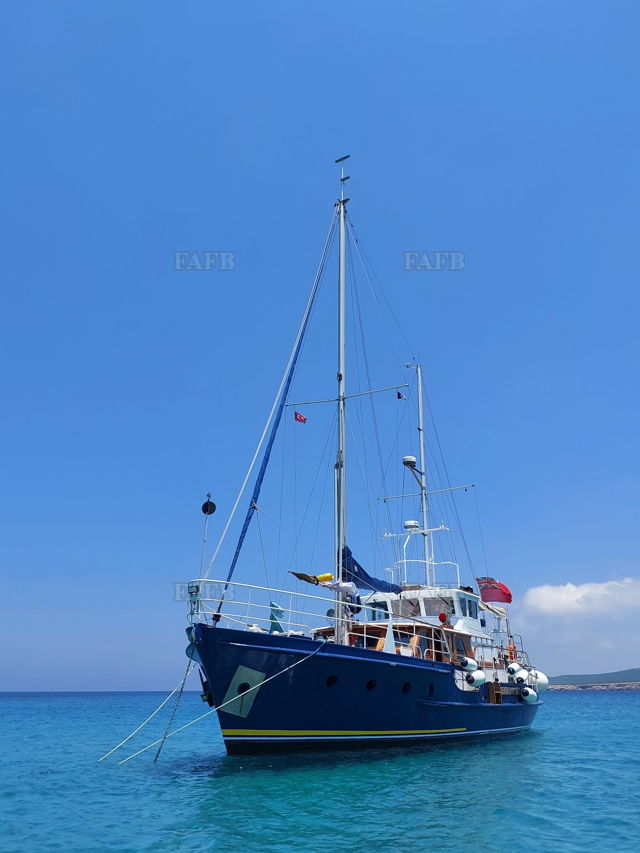 Large picture for advert 136634