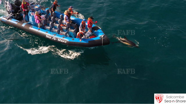 Large picture for advert 144635