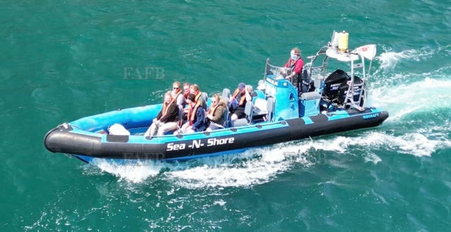 Large picture for advert 144635