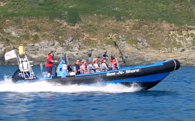 Large picture for advert 144635