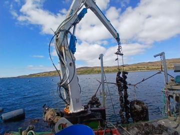 Mussel Farm for Sale
