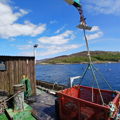 Thumbnail for picture 5
