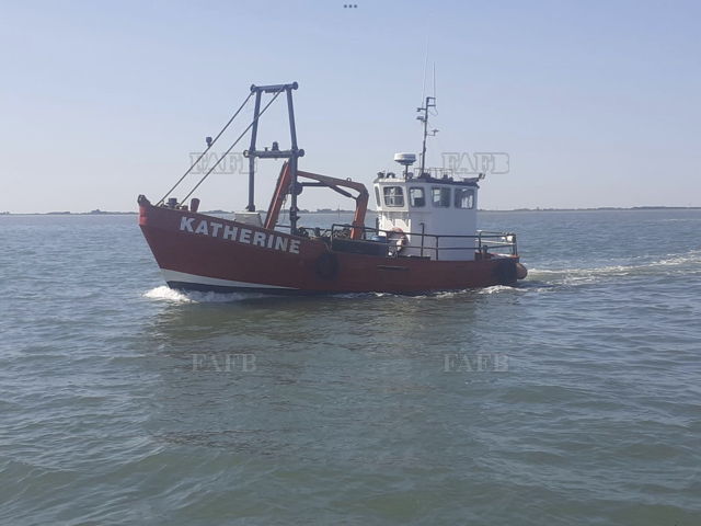 Large picture for advert 141639