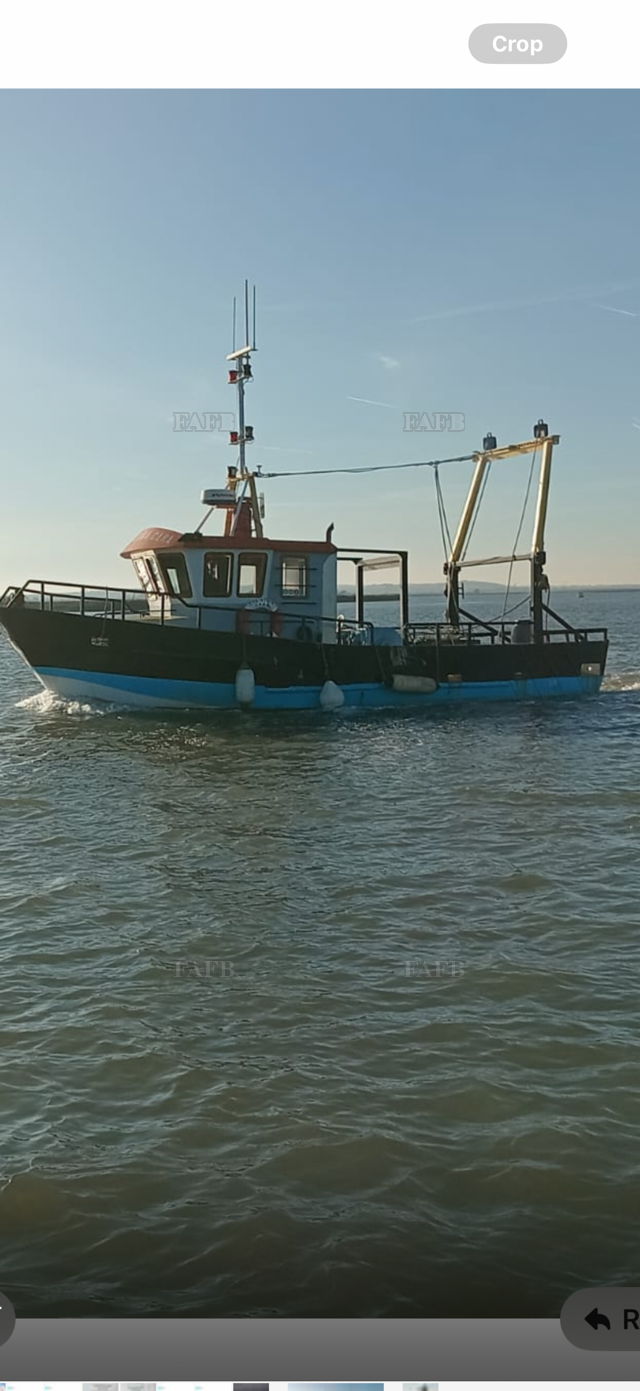 Large picture for advert 144639