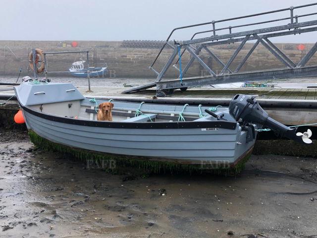 Large picture for advert 121064