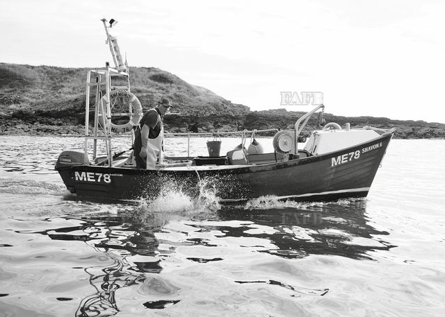 Large picture for advert 121064