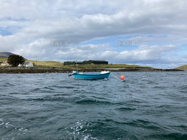 Large picture for advert 121064