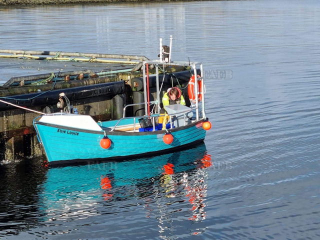 Large picture for advert 121064