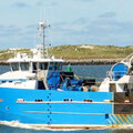 DIESEL ELECTRIC FLYING SHOOTER / PELAGIC / STERN TRAWLER - picture 3