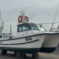 Extra picture for advert 147640